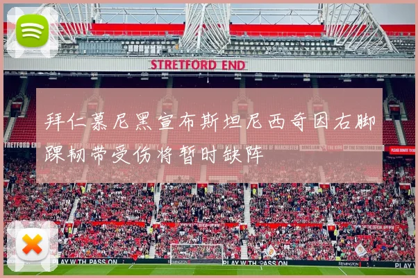 拜仁慕尼黑宣布斯坦尼西奇因右脚踝韧带受伤将暂时缺阵