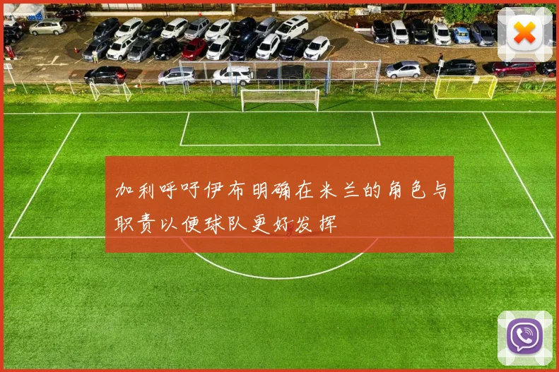加利呼吁伊布明确在米兰的角色与职责以便球队更好发挥